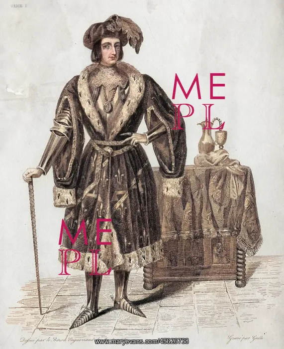 : JEAN COMTE DE DUNOIS : JEAN COMTE DE DUNOIS