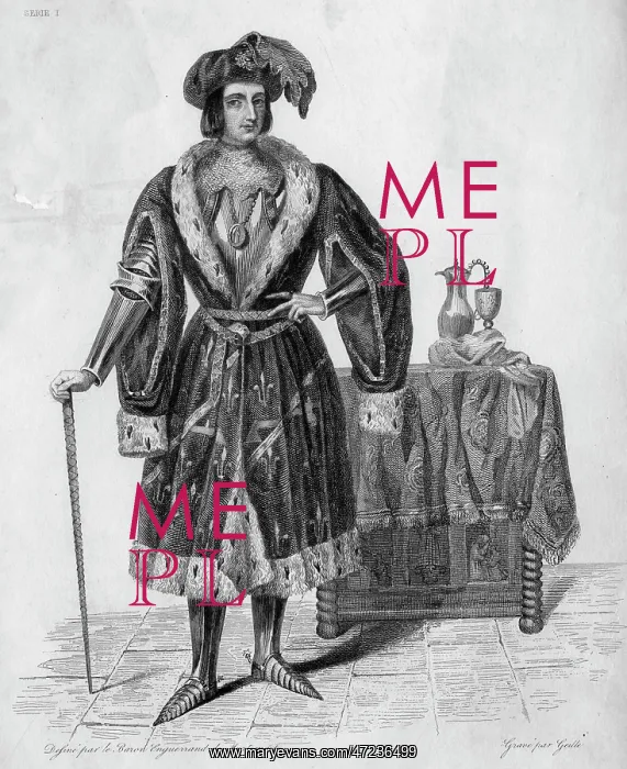 : JEAN COMTE DE DUNOIS : JEAN COMTE DE DUNOIS