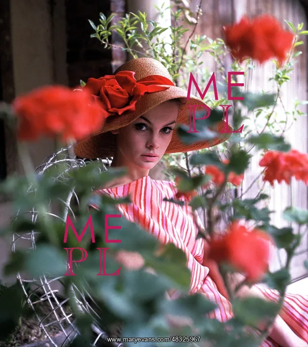  : Jean Shrimpton -