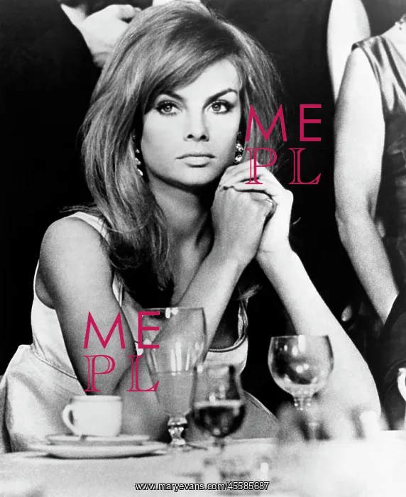 : Jean Shrimpton - Actress - Model : Jean Shrimpton - Actress - Model