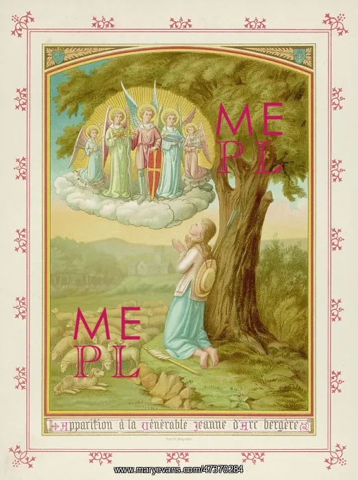 : JEANNE D'ARC'S VISION : JEANNE D'ARC'S VISION