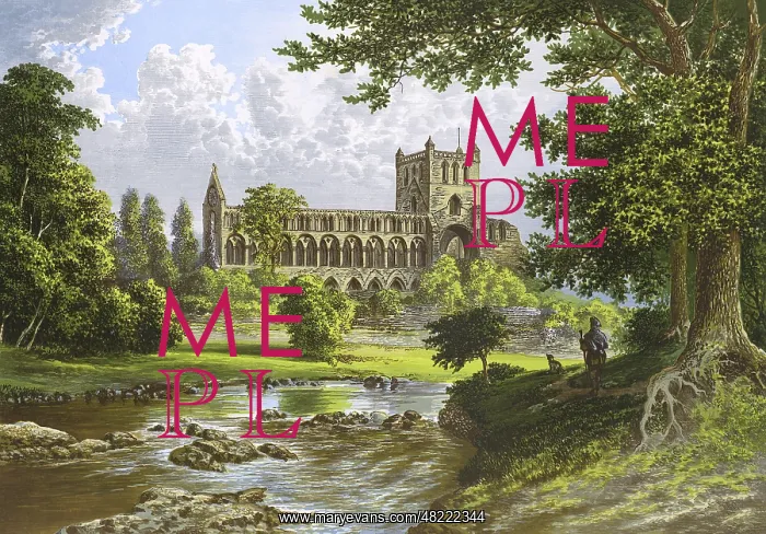 : Jedburgh Abbey, Jedburgh, Scotland : Jedburgh Abbey, Jedburgh, Scotland