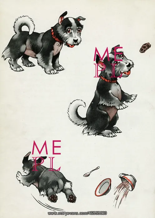 : Jeek the puppy getting into trouble : Jeek the puppy getting into trouble