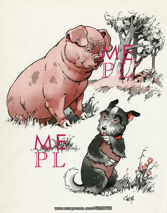: Jeek the puppy meets a pig : Jeek the puppy meets a pig