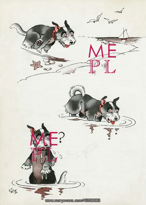 : Jeek the puppy at the seaside : Jeek the puppy at the seaside