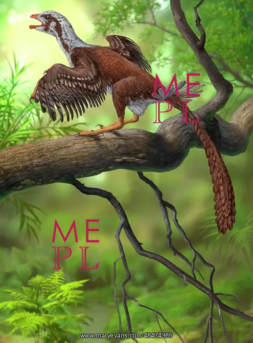 : Jeholornis prima perched on a tree branch during the Early ? : Jeholornis prima perched on a tree branch during the Early ?