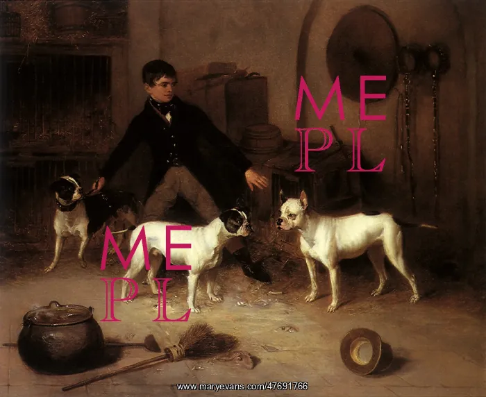  : Jem Burn's Four Pets