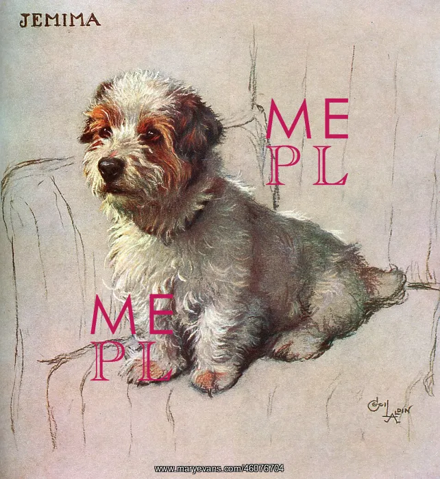: Jemima! Drawn by Cecil Aldin : Jemima! Drawn by Cecil Aldin
