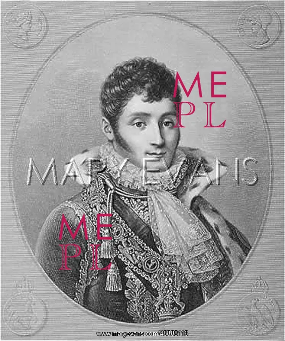  : JEROME BONAPARTE / FURSTEN