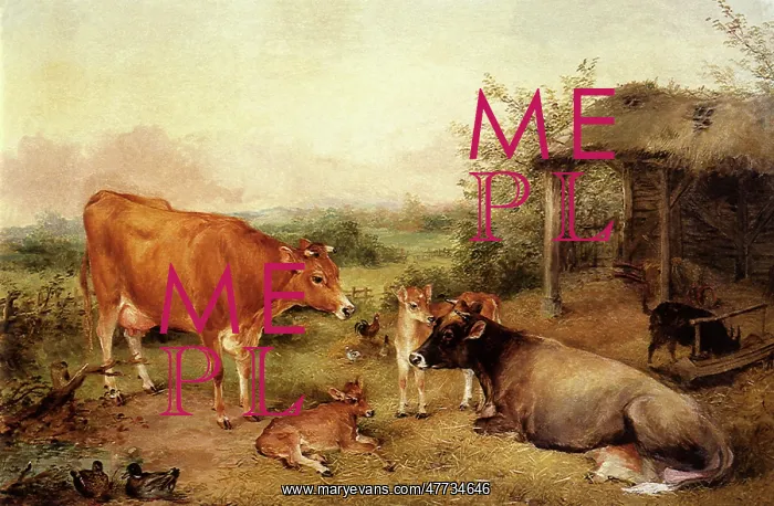  : Jersey Cattle