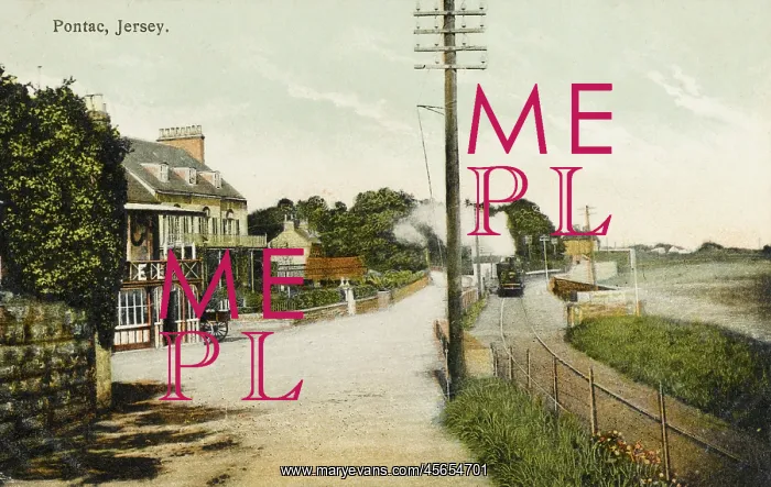 : Jersey - Pontac : Jersey - Pontac