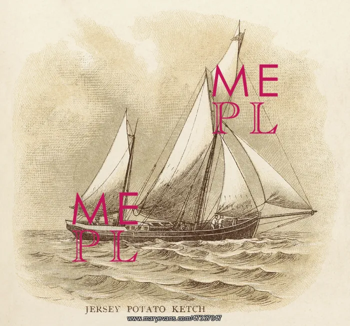  : Jersey Potato Ketch