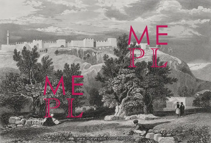  : Jerusalem. Garden of Olives. Engraving by Aubert