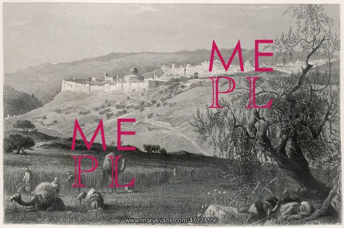 : JERUSALEM / GENERAL C1850 : JERUSALEM / GENERAL C1850