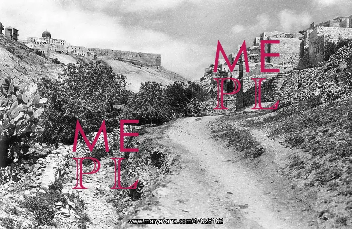 : Jerusalem, Kidron Valley and Siloam : Jerusalem, Kidron Valley and Siloam
