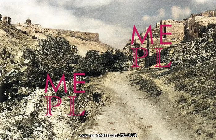 : Jerusalem, Kidron Valley and Siloam : Jerusalem, Kidron Valley and Siloam