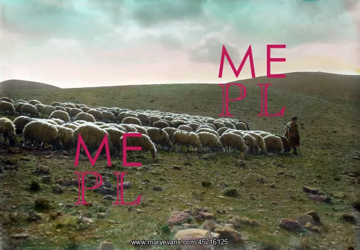 : Jerusalem, Shepherd going before his flock, ? : Jerusalem, Shepherd going before his flock, ?