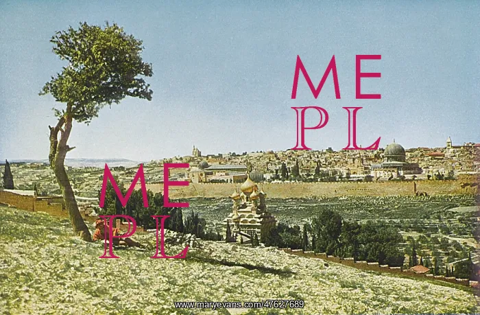 : Jerusalem viewed from the Mount of Olives : Jerusalem viewed from the Mount of Olives