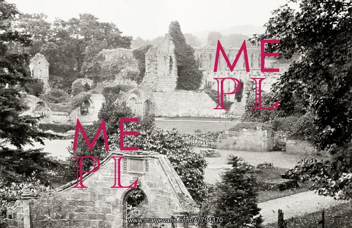  : Jervaulx Abbey, Yorkshire