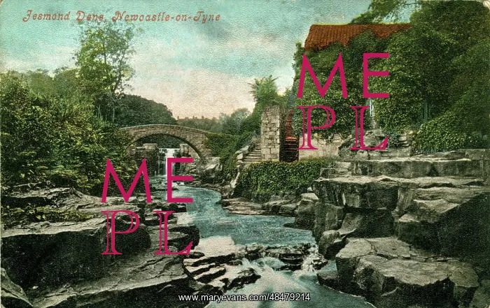  : Jesmond Dene, Jesmond, Northumberland