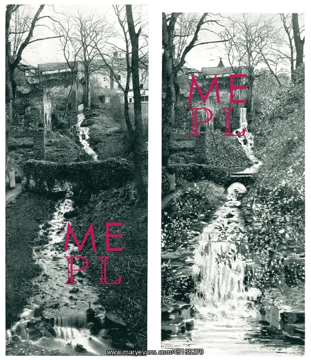 : Jesmond Dene Mill Lade : Jesmond Dene Mill Lade