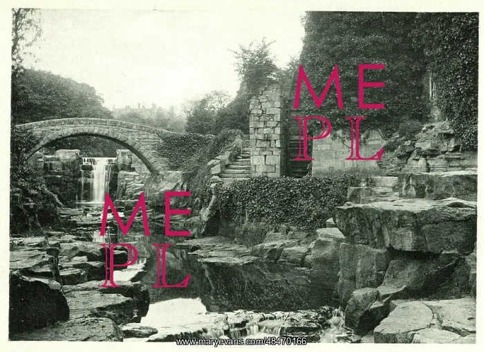  : Jesmond Dene, Newcastle-on-Tyne