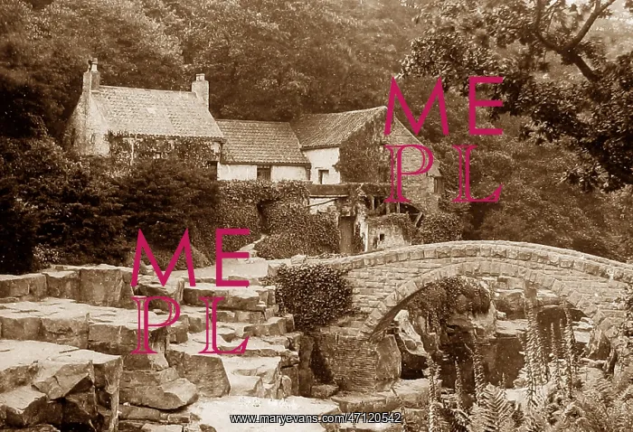  : Jesmond Dene Victorian period