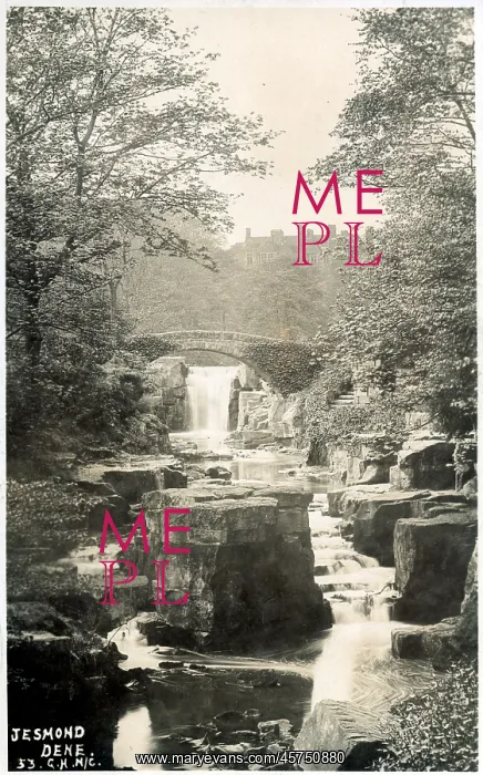 : Jesmond Dene - view toward waterfall - River Ouseburn : Jesmond Dene - view toward waterfall - River Ouseburn