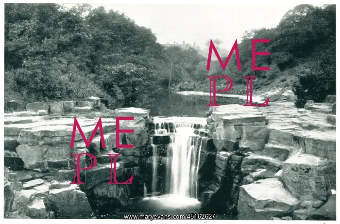 : Jesmond Dene Waterfall, Newcastle : Jesmond Dene Waterfall, Newcastle