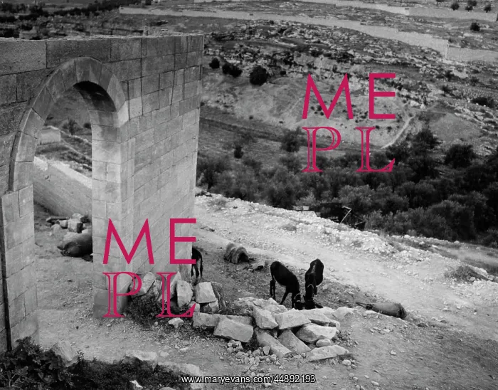  : JESRUSALEM / GETHSEMANE