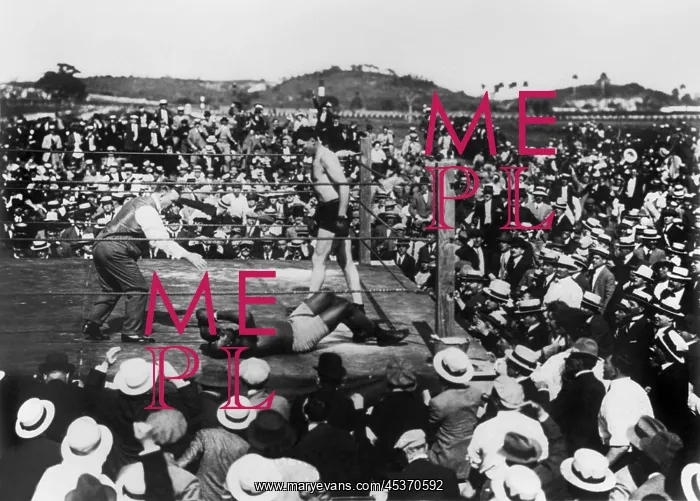 : Jess Willard standing over a knocked out boxer : Jess Willard standing over a knocked out boxer