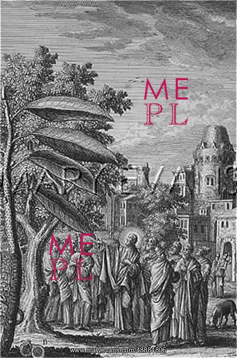 : JESUS CURSES FIG TREE : JESUS CURSES FIG TREE
