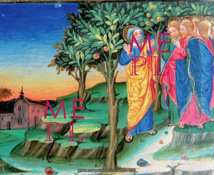 : Jesus goes to Mount of Olives to pray. Codex of Predis (1476 : Jesus goes to Mount of Olives to pray. Codex of Predis (1476