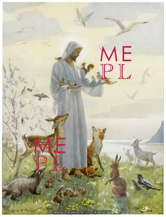 : Jesus surrounded by woodland creatures : Jesus surrounded by woodland creatures