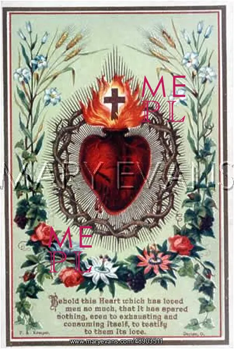 : JESUS'S SACRED HEART : JESUS'S SACRED HEART
