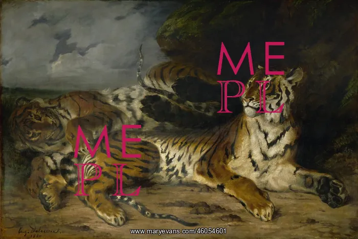 : Jeune tigre : Jeune tigre