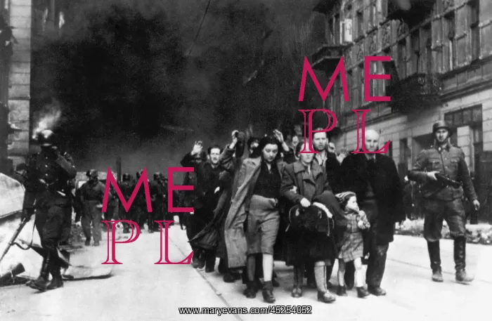 : Jewish civilians forcibly pulled out of dug-outs : Jewish civilians forcibly pulled out of dug-outs