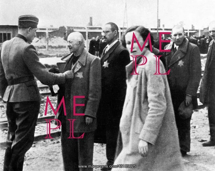 : Jewish deportees are lined up for selection : Jewish deportees are lined up for selection