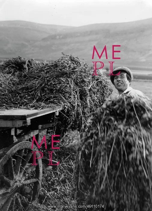 : A Jewish farmer in the hay : A Jewish farmer in the hay