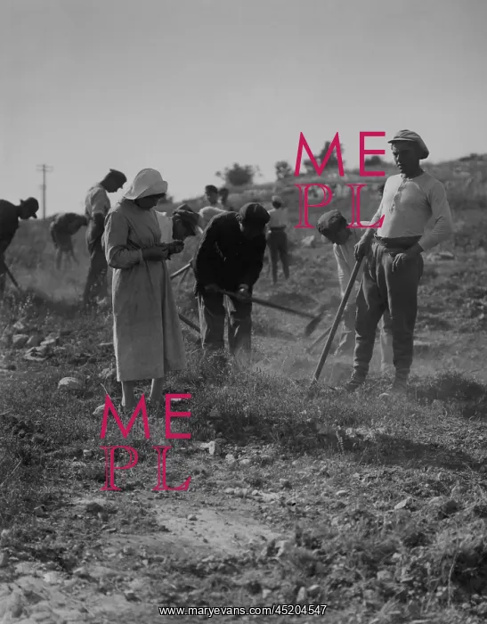 : Jewish immigrants cultivating the ground ? : Jewish immigrants cultivating the ground ?