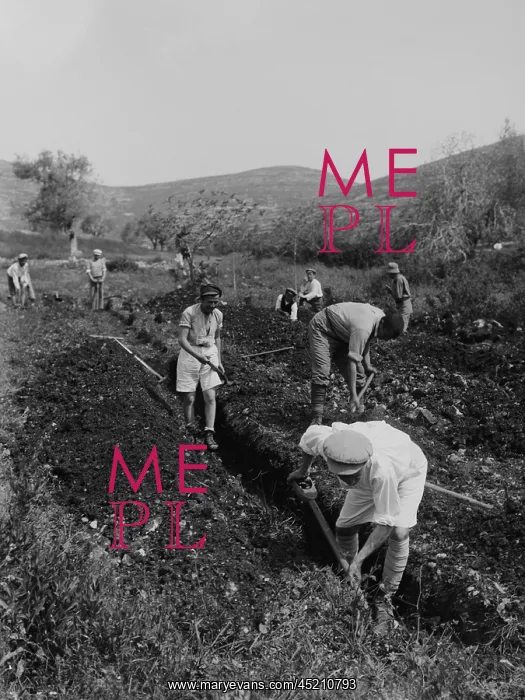 : Jewish immigrants digging a trench as they ? : Jewish immigrants digging a trench as they ?