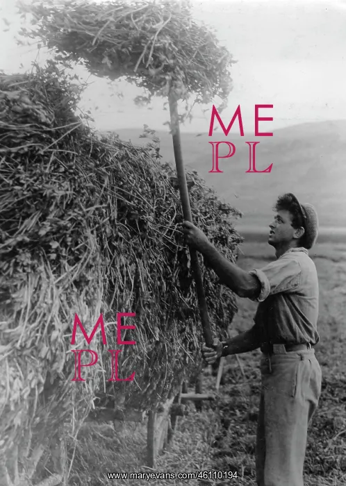 : A Jewish peasant working in the fields : A Jewish peasant working in the fields