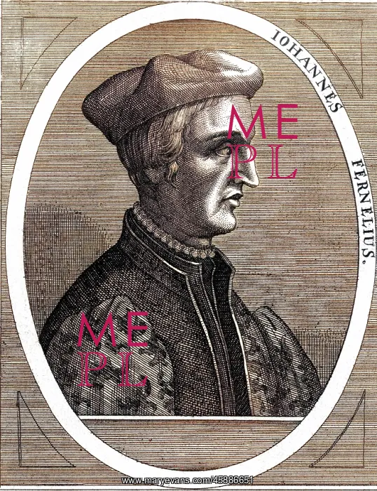  : JF FERNEL / AMMON 1650