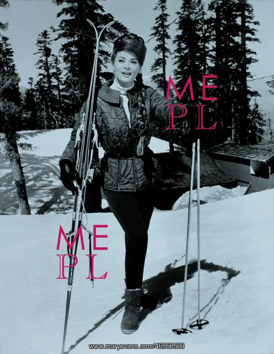 : Jill Donohue : Jill Donohue
