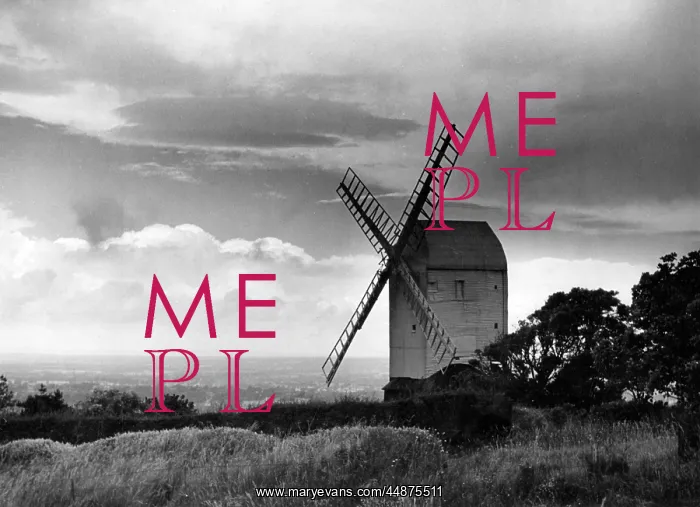 : JILL WINDMILL : JILL WINDMILL