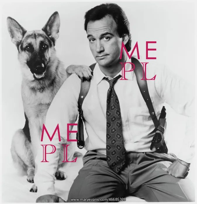 : Jim Belushi - Actor : Jim Belushi - Actor