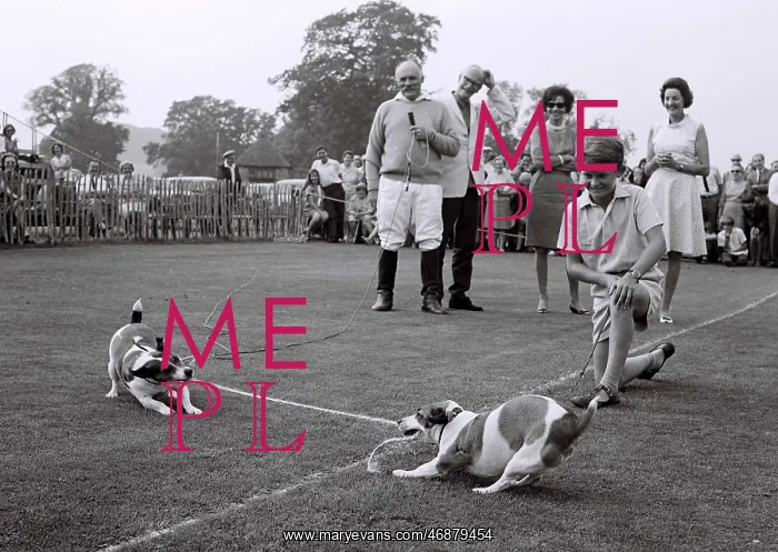  : Jimmy Edwards dog show tug of war