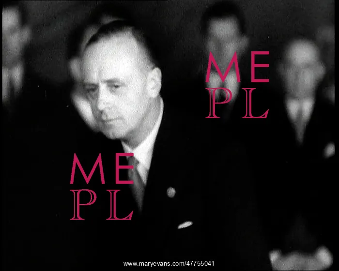 : Joachim Von Ribbentrop Giving a Speech : Joachim Von Ribbentrop Giving a Speech