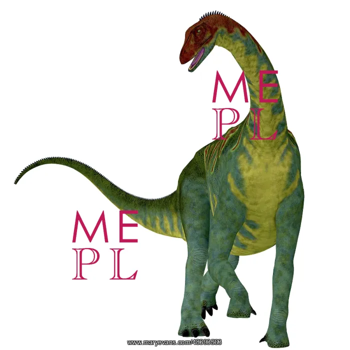 : Jobaria dinosaur, front view : Jobaria dinosaur, front view