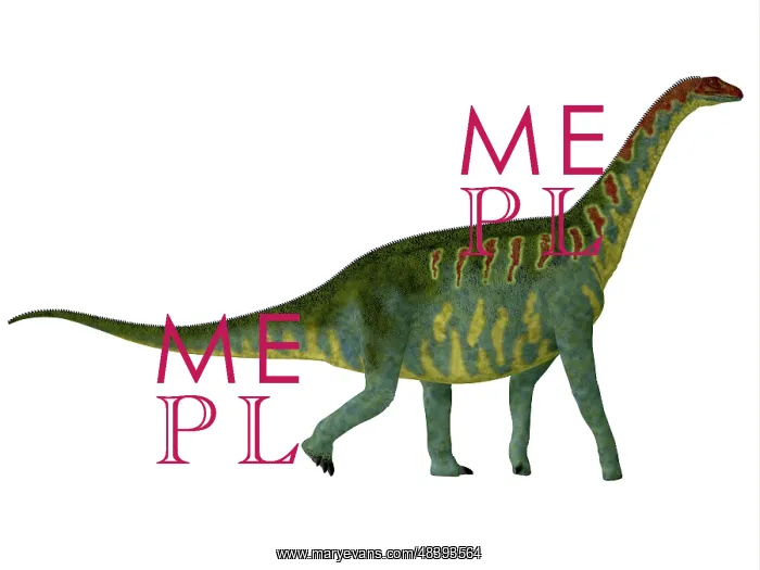 : Jobaria dinosaur, side view : Jobaria dinosaur, side view